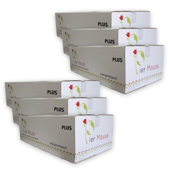 6 Cartons de Briques de mousse "PierMouss" HAUTE DENSITE