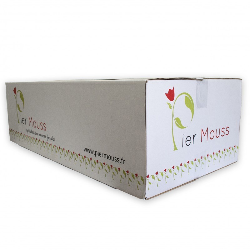 Carton de Briques de mousse "PierMouss" STANDARD