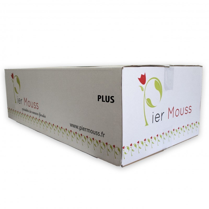 3 Cartons de Briques de mousse "PierMouss" HAUTE DENSITE