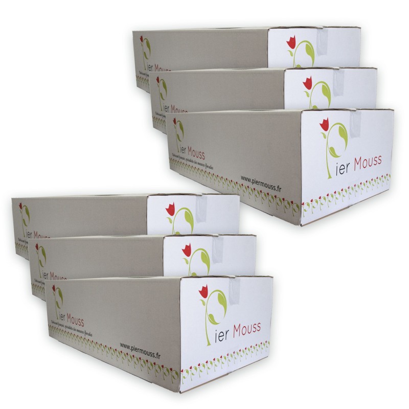 6 Cartons de Briques de mousse "PierMouss" STANDARD